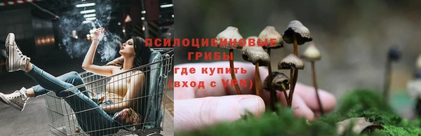 альфа пвп Михайлов