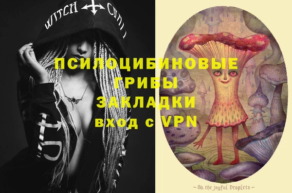 a pvp Медногорск