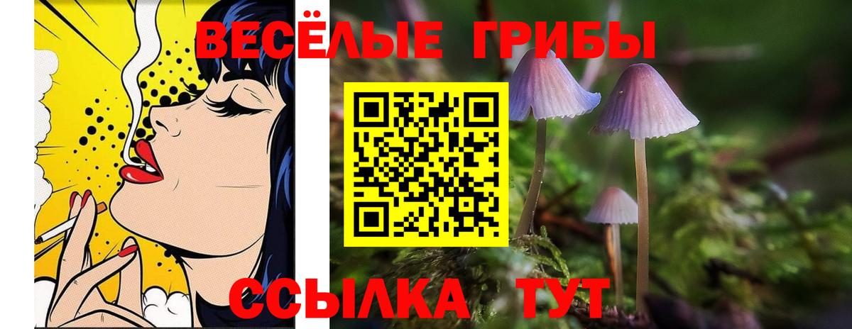 Чистополь  Галлюциногенные грибы прущие грибы  Вход с VPN 